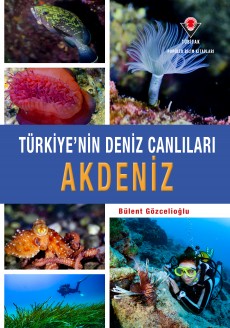 Türkiye'nin Deniz Canlıları Akdeniz
