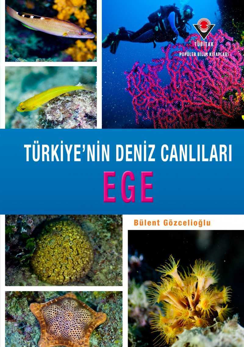 Türkiye'nin Deniz Canlıları Ege