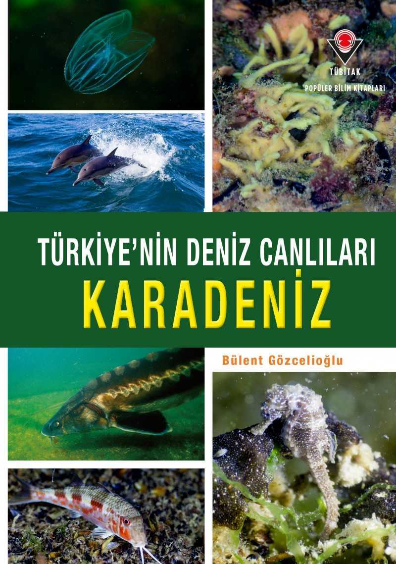 Türkiye'nin Deniz Canlıları Karadeniz