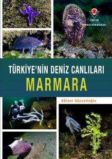 Türkiye'nin Deniz Canlıları Marmara