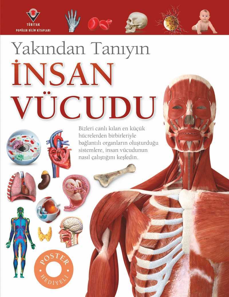 Yakından Tanıyın - İnsan Vücudu
