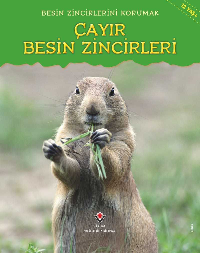 Besin Zincirlerini Korumak - Çayır Besin Zincirleri