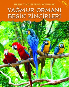 Besin Zincirlerini Korumak - Yağmur Ormanı Besin Zincirleri