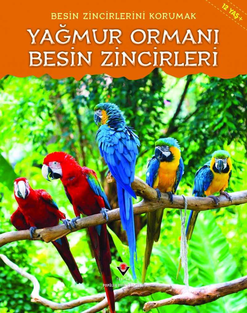Besin Zincirlerini Korumak - Yağmur Ormanı Besin Zincirleri