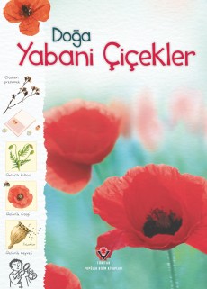 Doğa - Yabani Çiçekler