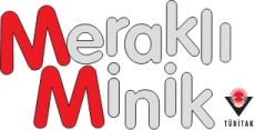 Elektronik Meraklı Minik Dergisi