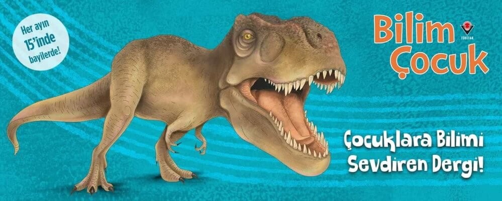 http://localhost/dergi/198-bilim-cocuk.html
